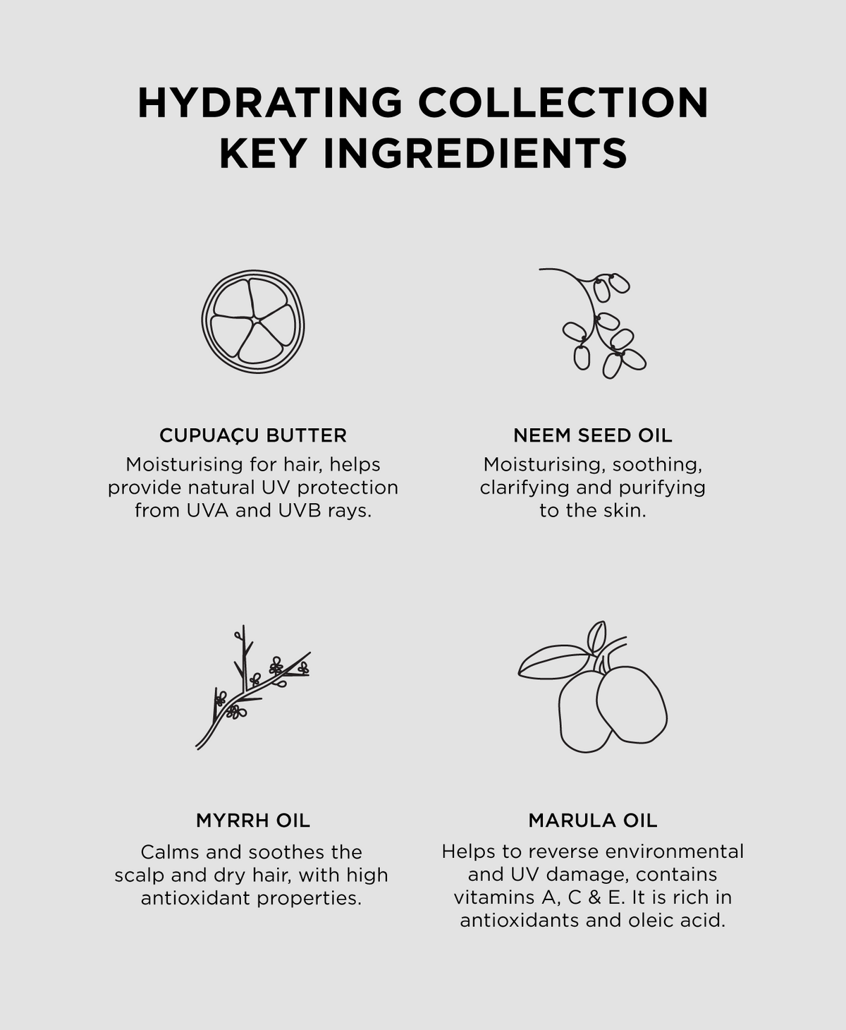 Mini Hydrating Shampoo